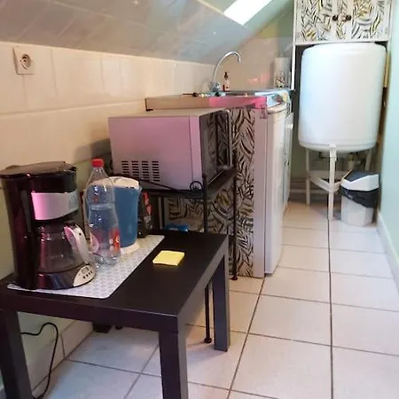 Appartement Pied A Terre Sous Les Toits Au Coeur De L'alsace *