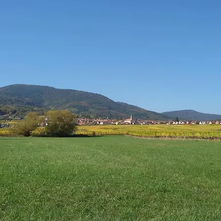 Pied A Terre Sous Les Toits Au Coeur De L'alsace Appartement Barr